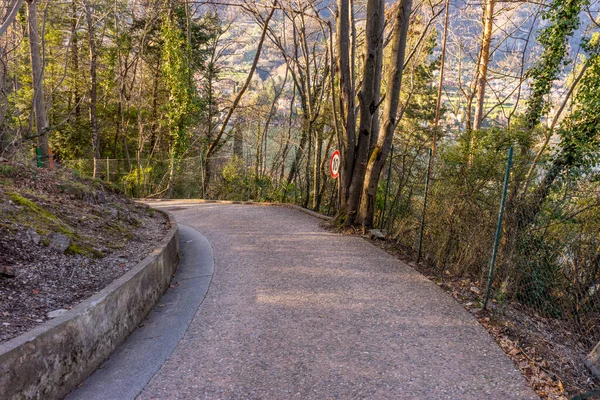 Italië Lecco Comomeer Wandelpad Het Bos — Stockfoto