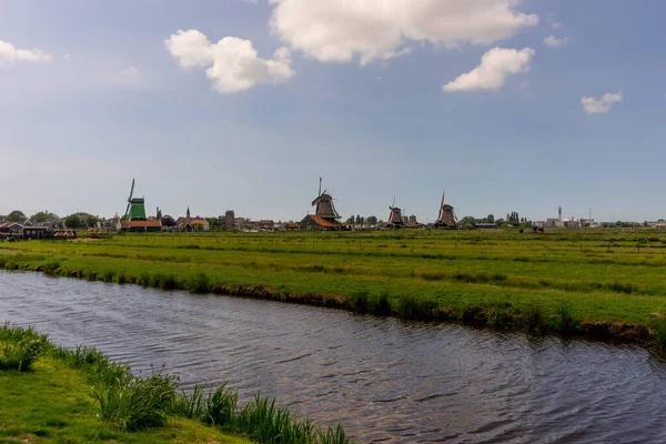 Hollandia Zaanse Schans Szélmalmok Csatornás Réten Unesco Örökség — Stock Fotó