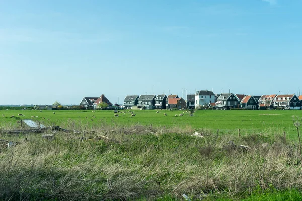 Nizozemsko Mokřady Maarken Evropa Skupina Lidí Stojící Bujné Zelené Louce — Stock fotografie