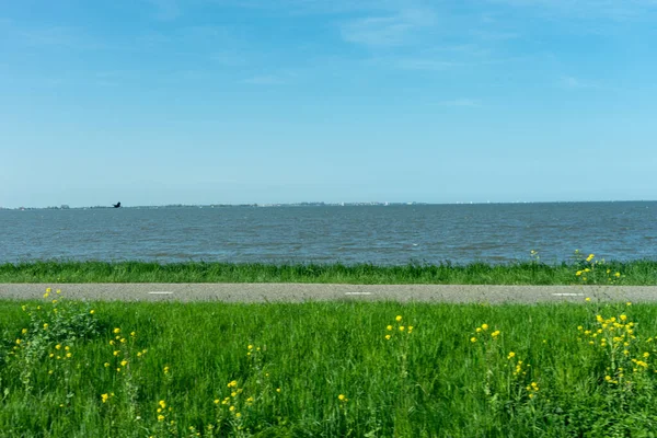 Holanda Wetlands Maarken Europa Uma Pessoa Campo Verde Exuberante Lado — Fotografia de Stock