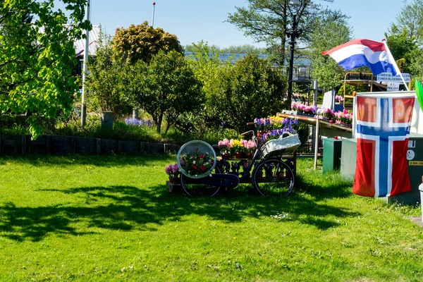 Paesi Bassi Lisse Europa Vista Del Carrello Multi Colorato Parco — Foto Stock