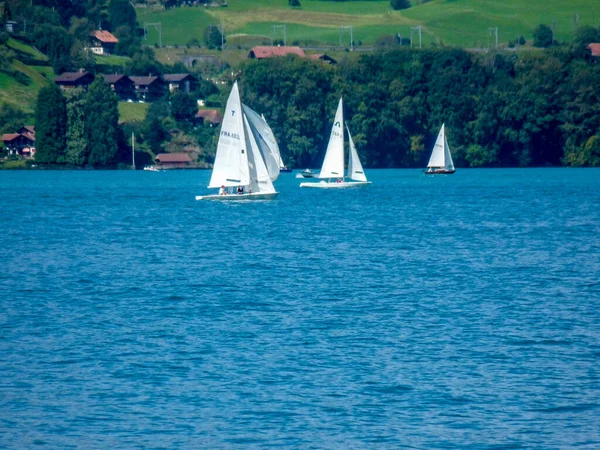 Suíça Lauterbrunnen Europa Sailboat Sailboat Mar Por Árvores — Fotografia de Stock