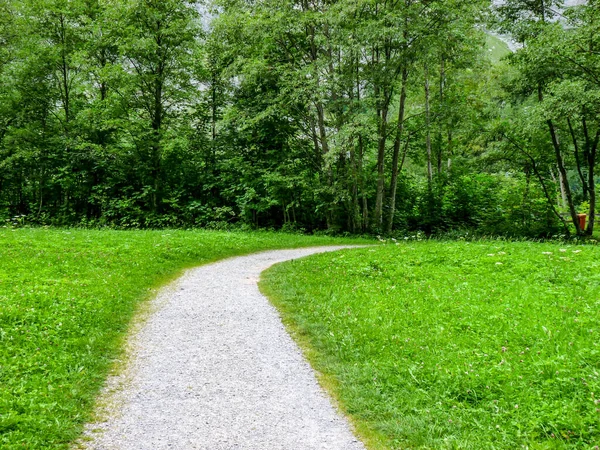 Schweiz Lauterbrunnen Europa Blick Von Footpath Trees — Stockfoto