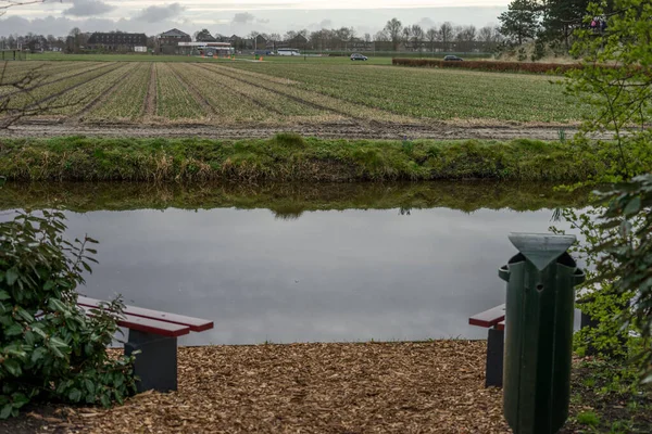 花の庭 オランダ ヨーロッパ 水のボディの隣のベンチ — ストック写真