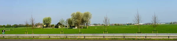 Pays Bas Lisse Europe Gros Plan Champ Vert Luxuriant — Photo