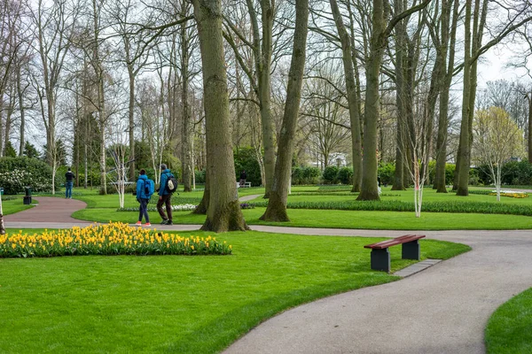 Flower Garden Paesi Bassi Europa Una Panchina Verde Seduta Nel — Foto Stock