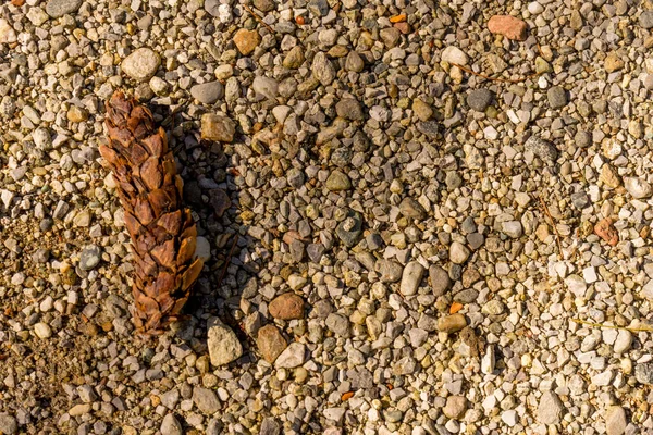 Italien Bellagio Comer See High Angle Von Tannenzapfen Sand — Stockfoto