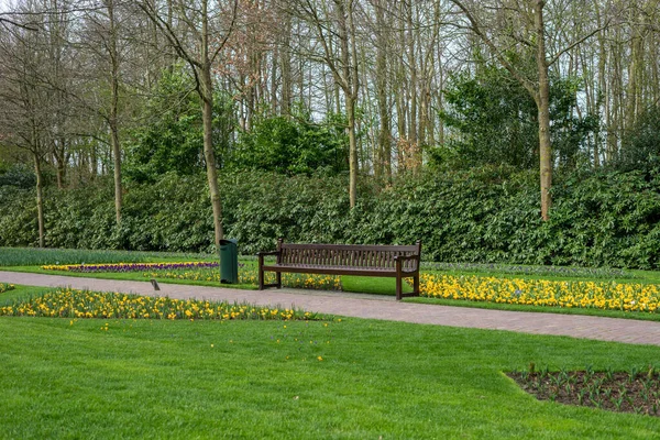 Flower Garden Paesi Bassi Europa Una Panchina Parco — Foto Stock