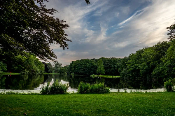 Cielo Azul Sobre Lago Hierba Verde Haagse Bos Bosque Haya — Foto de Stock