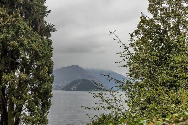 Europa Italien Varenna Comosjön Ett Träd Vid Sjö — Stockfoto