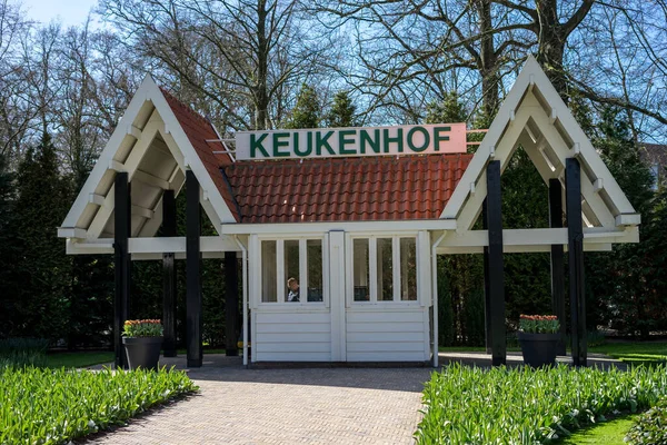 Jardín Flores Países Bajos Europa Gran Césped Frente Una Casa —  Fotos de Stock