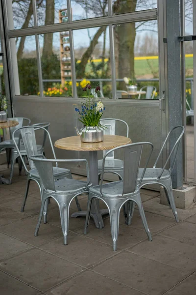 Flower Garden Netherlands Europe Dining Room Table Front Window — Stock Photo, Image