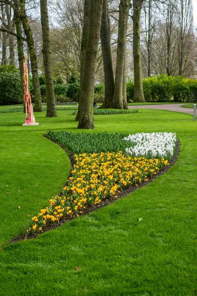 Jardin Fleurs Pays Bas Europe Une Fleur Jaune Dans Parc — Photo