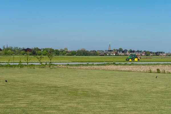 Netherlands Lisse Europe Large Green Field — стоковое фото