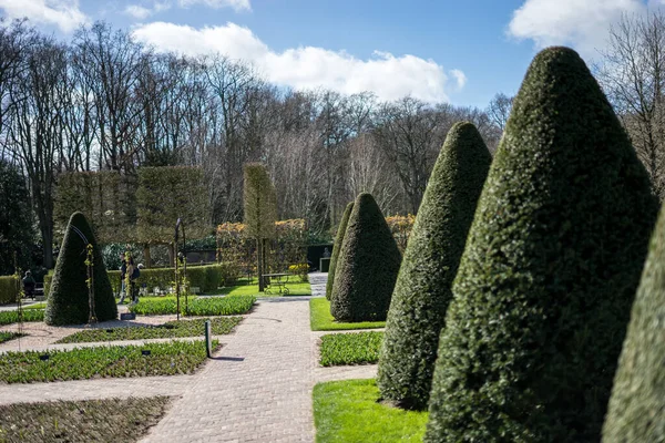 Çiçek Bahçesi Hollanda Avrupa Bahçede Bir Bitki — Stok fotoğraf