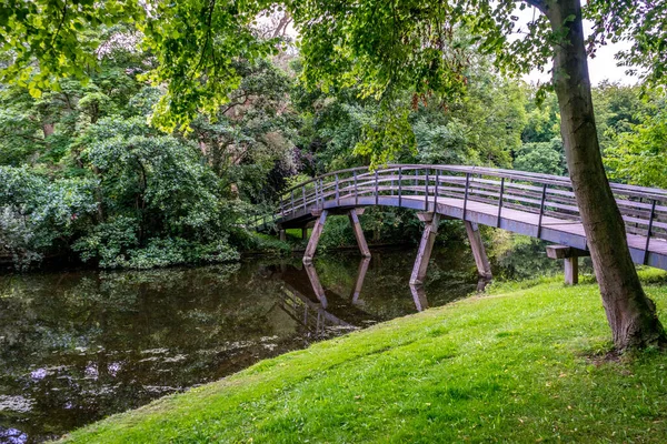 Haagse Bos 'taki bir gölün üzerindeki köprü, Lahey' deki orman, Hollanda, Avrupa