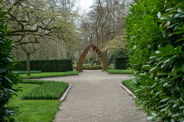 Çiçek Bahçesi Hollanda Avrupa Bahçede Bir Bitki — Stok fotoğraf
