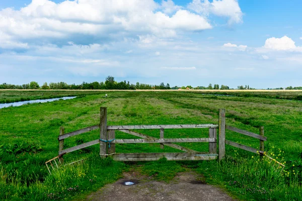 Avrupa, Hollanda, Zaanse Schans, yemyeşil bir tarlanın tepesinde oturan ahşap bir bank