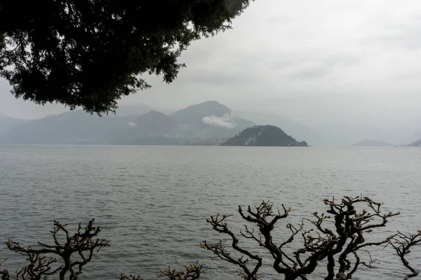 Europa Italien Varenna Comer See Ein Baum Neben Einem Gewässer — Stockfoto