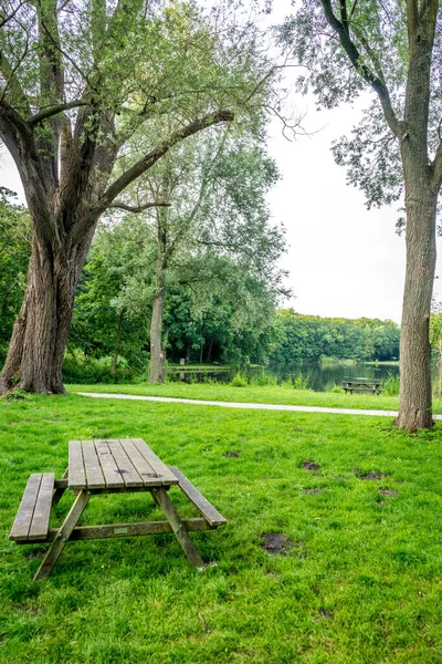 Dřevěná Lavička Zelené Trávě Haagse Bos Les Haagu Nizozemsko Evropa — Stock fotografie