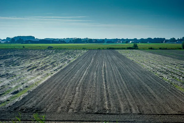 Olanda Olanda Sud Europa Tren Care Călătorește Piste Tren Apropierea — Fotografie, imagine de stoc