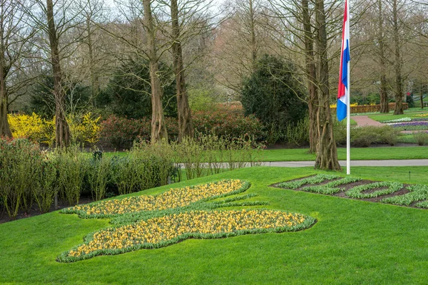 Flower Garden Paesi Bassi Europa Grande Campo Verde Con Alberi — Foto Stock
