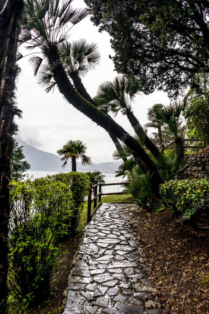 Europe, Italy, Varenna, Lake Como, FOOTPATH AMIDST PALM TREES AGAINST SKY