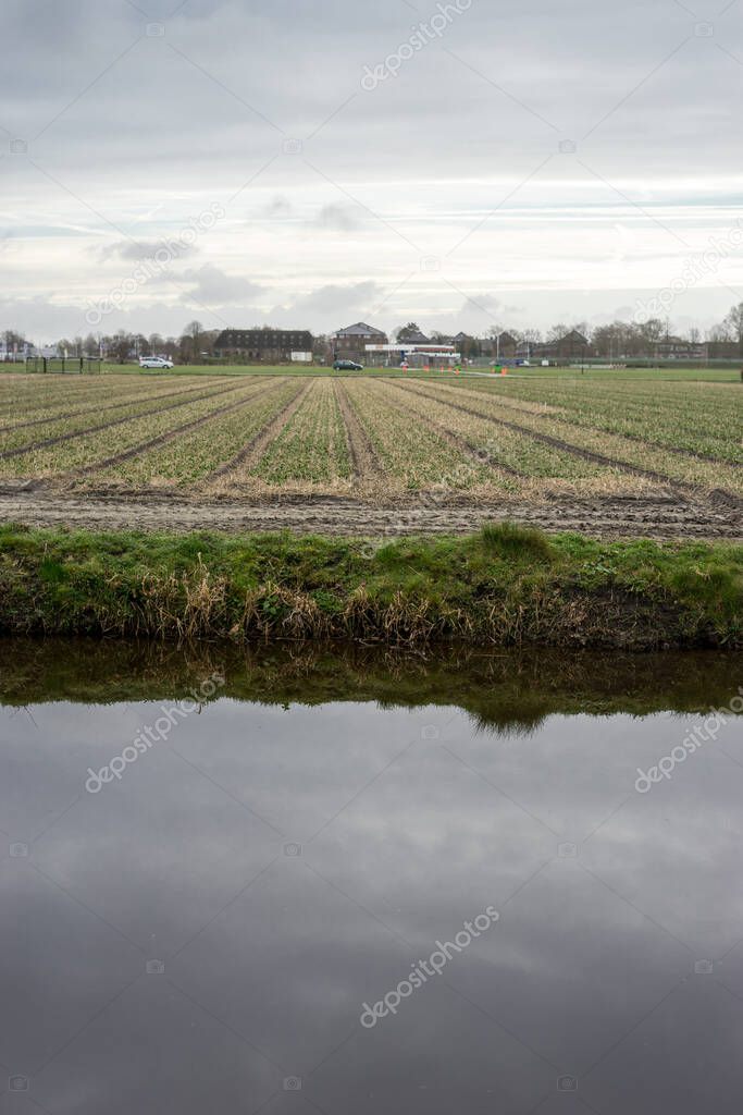 Flower garden, Netherlands, Europe, a river running through a body of water