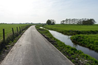 Hollanda, Sulak Topraklar, Maarken, Avrupa, yol kenarında ağaçların olduğu bir yol.