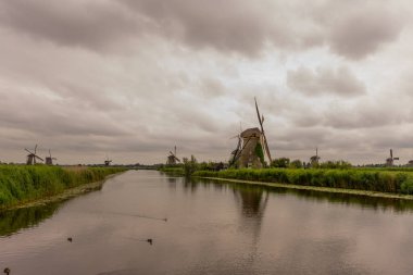 Hollanda, Rotterdam, Kinderdijk, bir kanal boyunca yemyeşil çimenlerin üzerindeki miras yel değirmeni