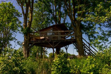 Hollanda, Giethoorn, ormandaki büyük bir ağaç ev.