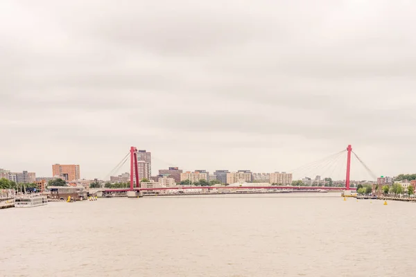 Europa Niederlande Rotterdam Ein Großes Gewässer Mit Einer Stadt Hintergrund — Stockfoto