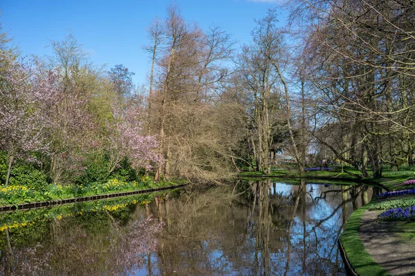 Jardín Flores Países Bajos Europa Cuerpo Agua Rodeado Árboles — Foto de Stock