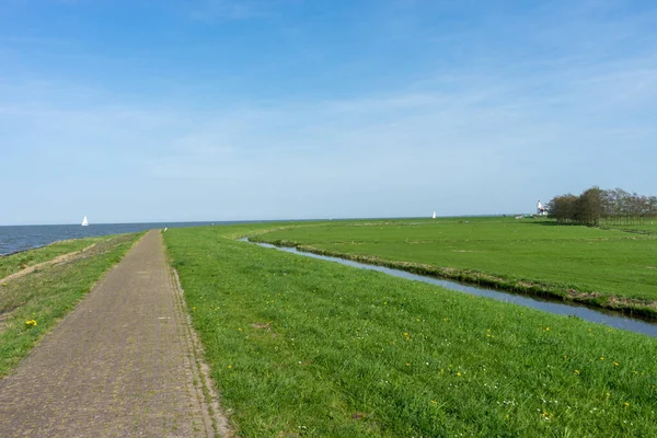 Netherlands Wetlands Maarken Europe Large Green Field Trees Background — Stock Photo, Image