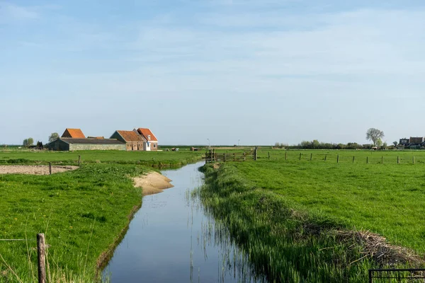 Nizozemsko Mokřady Maarken Evropa Svěží Zelené Pole Vedle Vodní Plochy — Stock fotografie