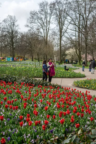 네덜란드 정원에 무리의 사람들 — 스톡 사진