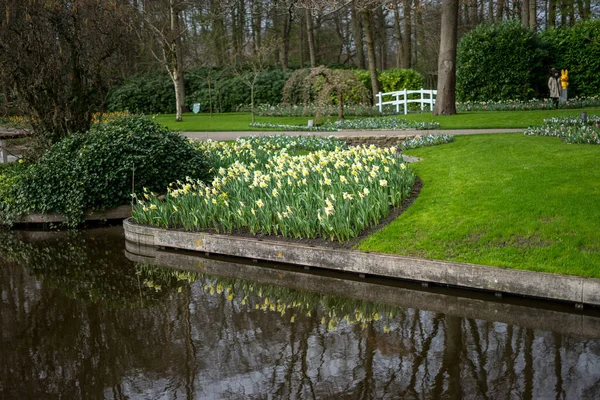 Jardin Fleuri Pays Bas Europe Rivière Traversant Parc — Photo