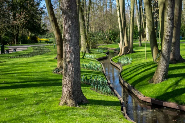 花の庭 オランダ ヨーロッパ 緑豊かな緑の公園の閉鎖 — ストック写真