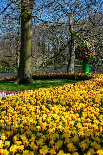 Flor Jardim Holanda Europa Uma Flor Amarela Com Folhas Verdes — Fotografia de Stock