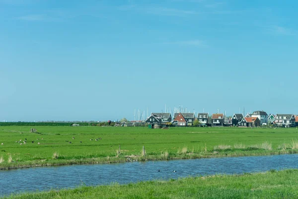 Κάτω Χώρες Wetlands Maarken Ευρώπη Ένα Μεγάλο Πράσινο Πεδίο — Φωτογραφία Αρχείου