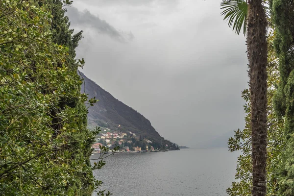 Europa Itália Varenna Lago Como Uma Árvore Lado Corpo Água — Fotografia de Stock