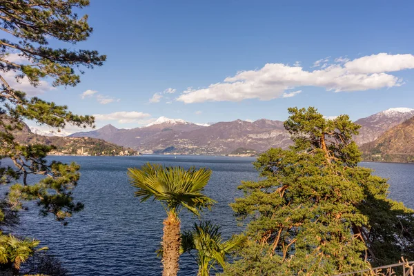 Europa Itália Lecco Lago Como Uma Árvore Frente Corpo Água — Fotografia de Stock