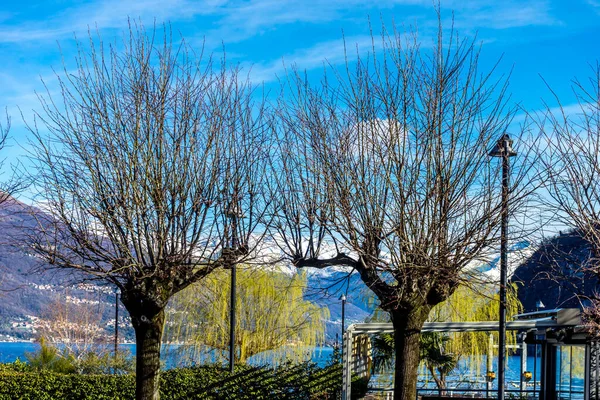 Europa Itália Bellagio Lago Como Árvores Nuas Contra Céu Azul — Fotografia de Stock