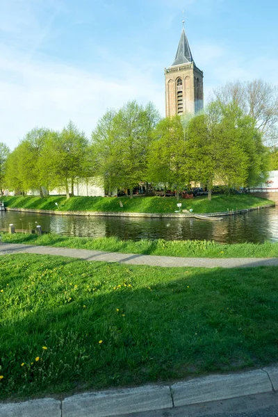 Netherlands Wetlands Maarken Europe Close Lush Green Field — Stock Photo, Image