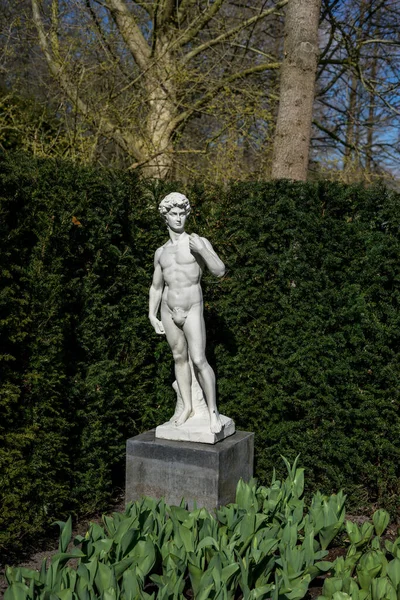 Jardín Flores Países Bajos Europa Una Estatua Árbol — Foto de Stock