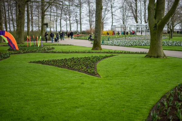 Jardin Fleurs Pays Bas Europe Grand Champ Vert Avec Des — Photo