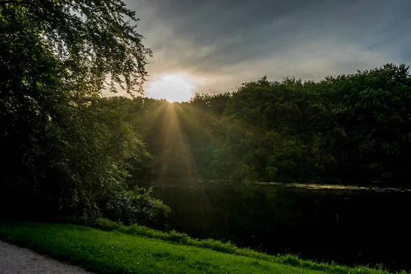 Gouden Zonsondergang Het Haagse Bos Bos Den Haag Nederland Europa — Stockfoto