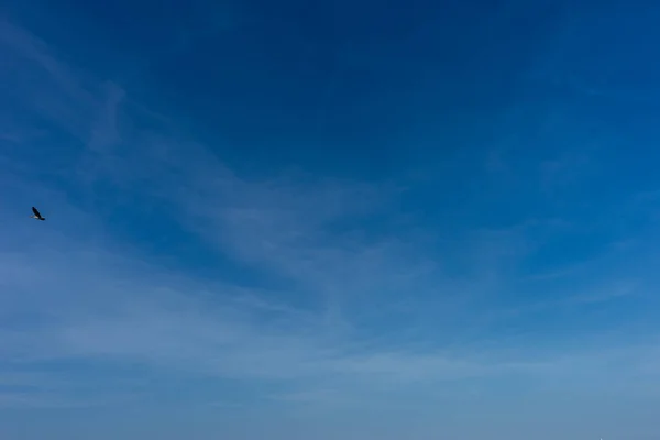 Nizozemsko Mokřady Maarken Evropa Osoba Letící Oblohou — Stock fotografie