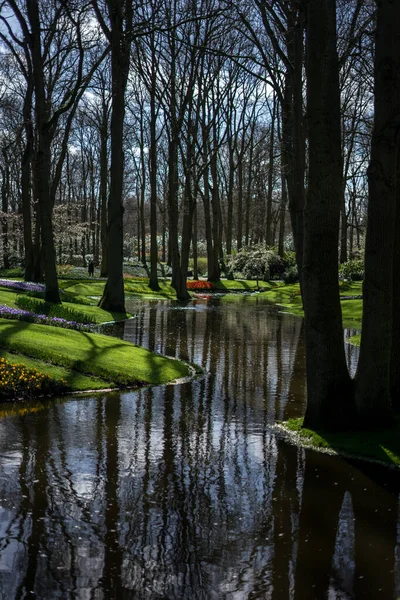 Flower Garden Paesi Bassi Europa Piccolo Stagno Una Foresta — Foto Stock