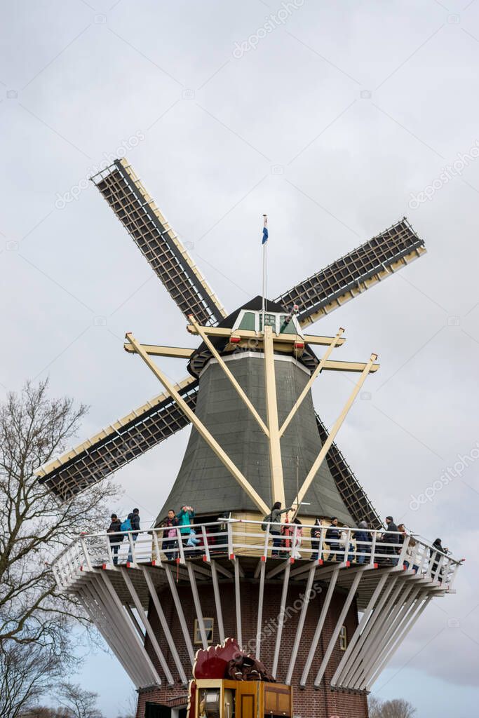 Flower garden, Netherlands, Europe, a windmill in the background